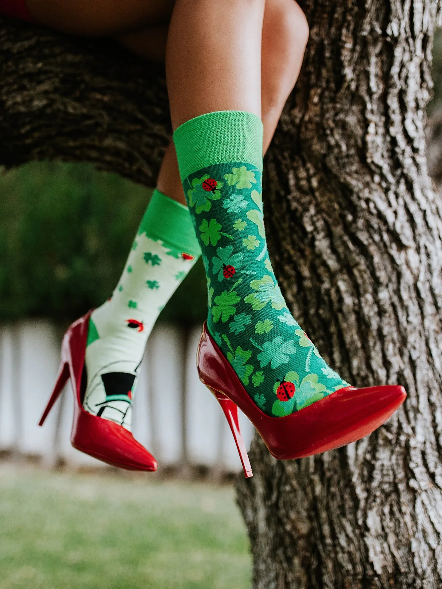 Vorschaubild 6